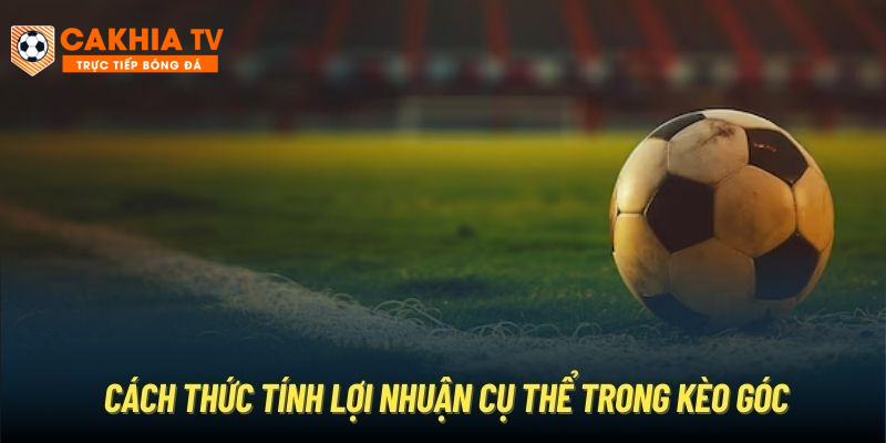 Cách thức tính lợi nhuận cụ thể trong kèo góc