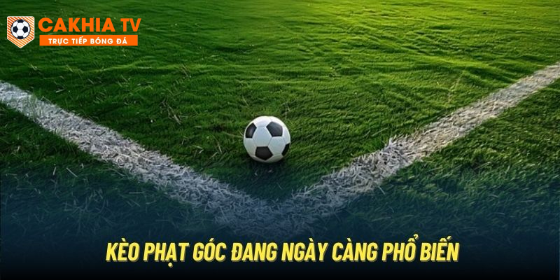 Kèo phạt góc đang ngày càng phổ biến